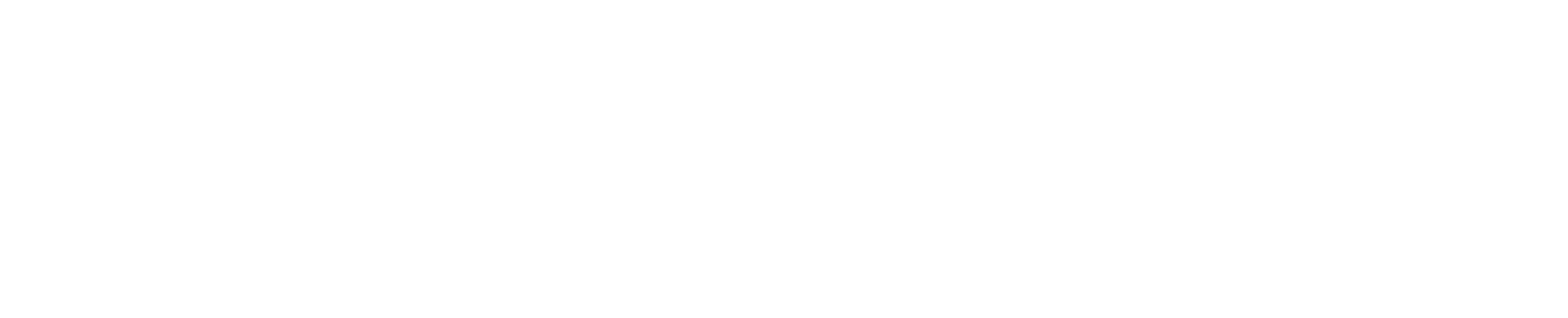 AI Pioneer Labs Logo